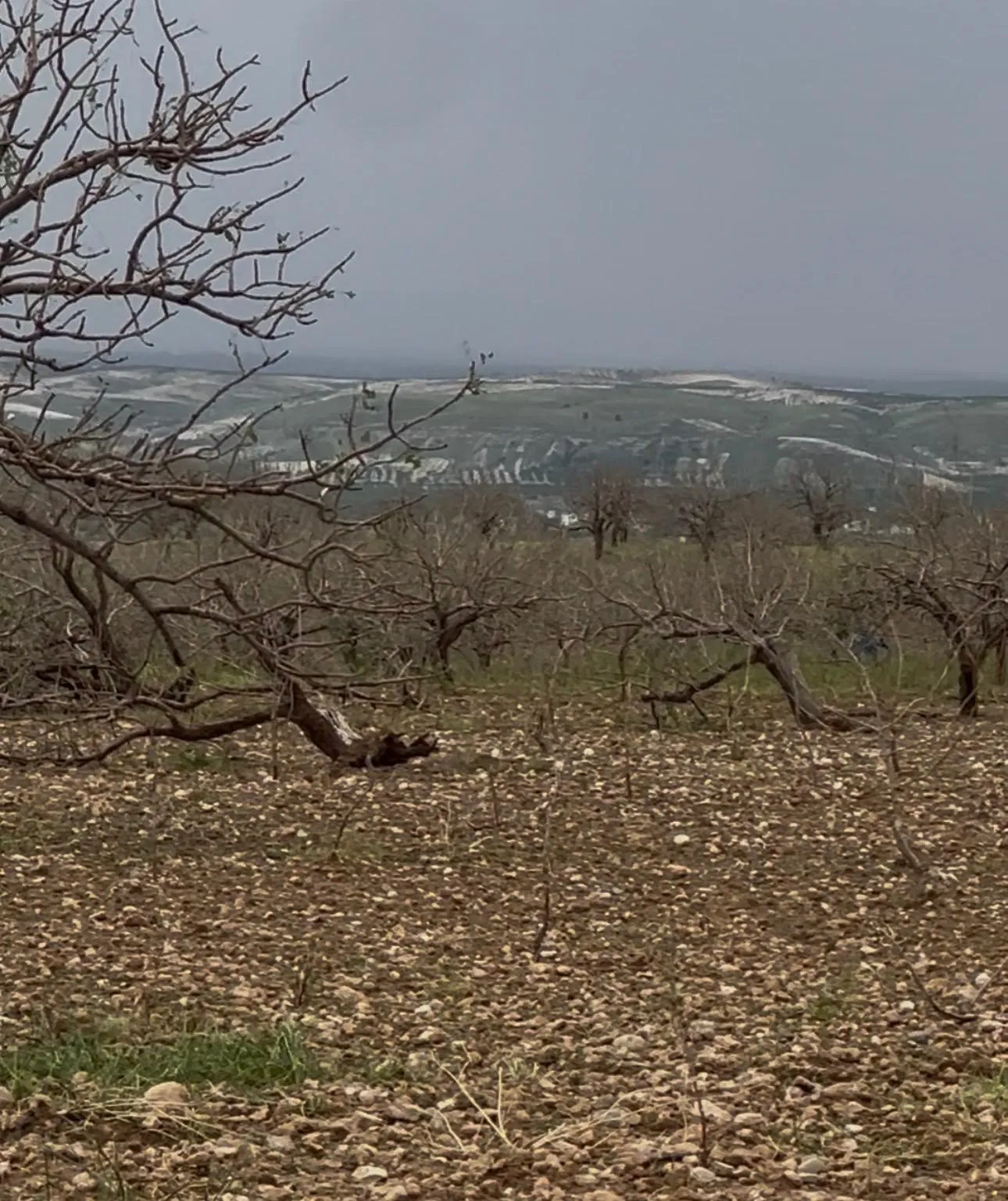 GAZİANTEP KENT KONSEYİ, 14 MAYIS DÜNYA ÇİFTÇİLER GÜNÜ DOLAYISIYLA YAYIMLADIĞI MESAJDA, ÇİFTÇİLERİN YAŞADIĞI ZORLUKLARA DİKKAT ÇEKTİ.