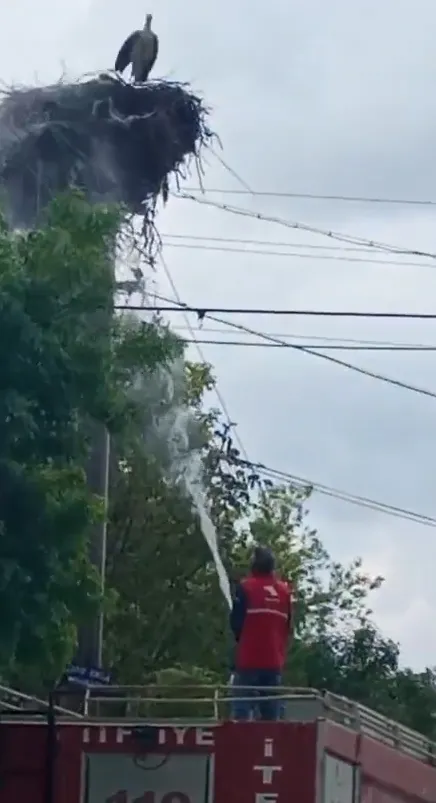 Aksaray'da elektrik direğinde can pazarı