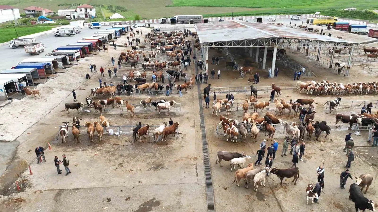 YOZGAT'IN HAYVANCILIK MERKEZLERİNDEN BİRİ OLAN SORGUN İLÇESİNDE, YAKLAŞAN KURBAN BAYRAMI ÖNCESİ KURULAN HAYVAN PAZARINDA HAREKETLİ DAKİKALAR YAŞANDI.-