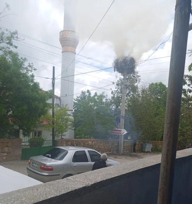 Aksaray'da elektrik direğinde can pazarı
