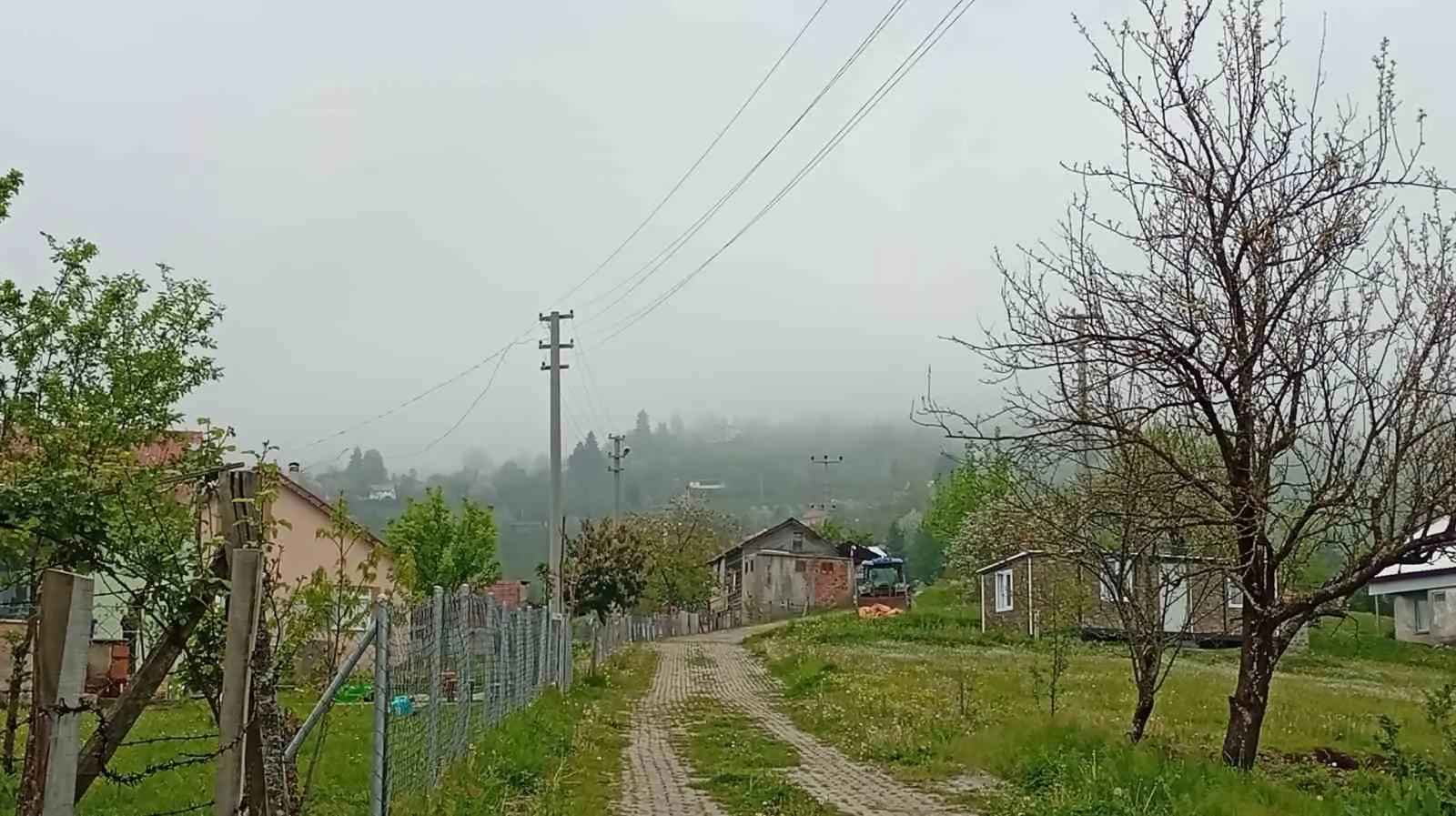 SAKARYA'NIN HENDEK İLÇESİNDE YÜKSEK RAKIMLI BÖLGELERDE BAHARIN GELİŞİ VE ETKİLİ OLAN SİSLE BİRLİKTE GÜZEL MANZARALAR OLUŞTU.