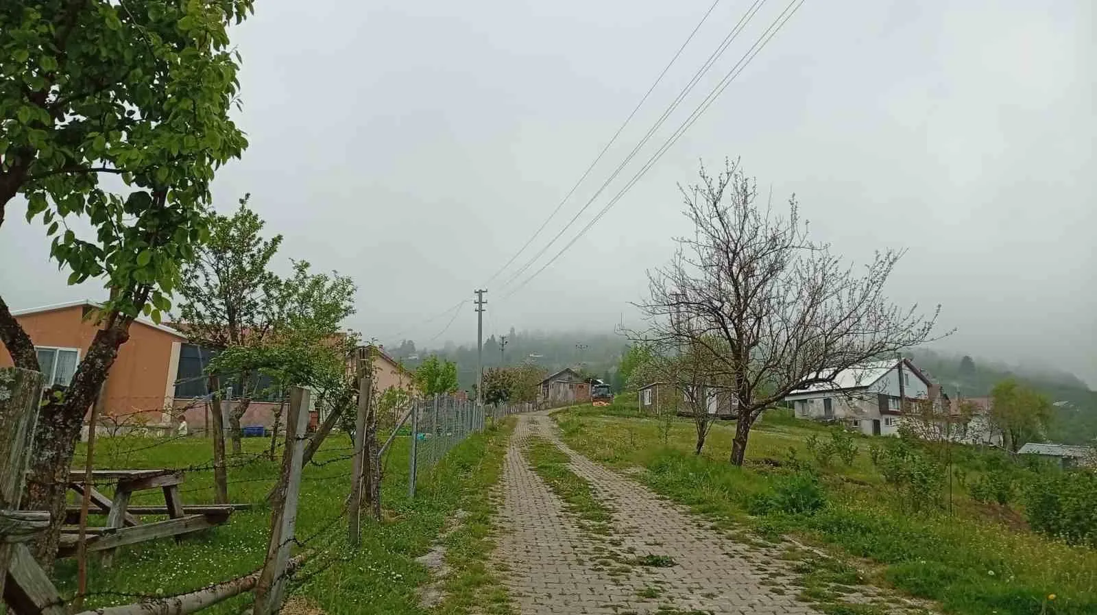 SAKARYA'NIN HENDEK İLÇESİNDE YÜKSEK RAKIMLI BÖLGELERDE BAHARIN GELİŞİ VE ETKİLİ OLAN SİSLE BİRLİKTE GÜZEL MANZARALAR OLUŞTU.
