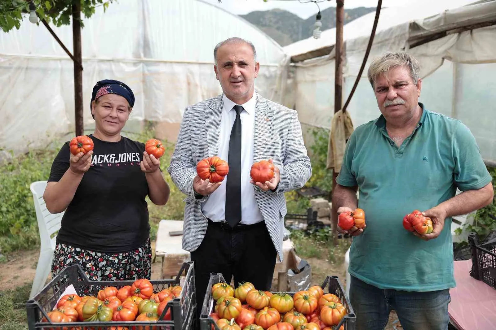 BAŞKAN KAYA, ÇİFTÇİLER GÜNÜNDE DOMATES HASADINA KATILDI