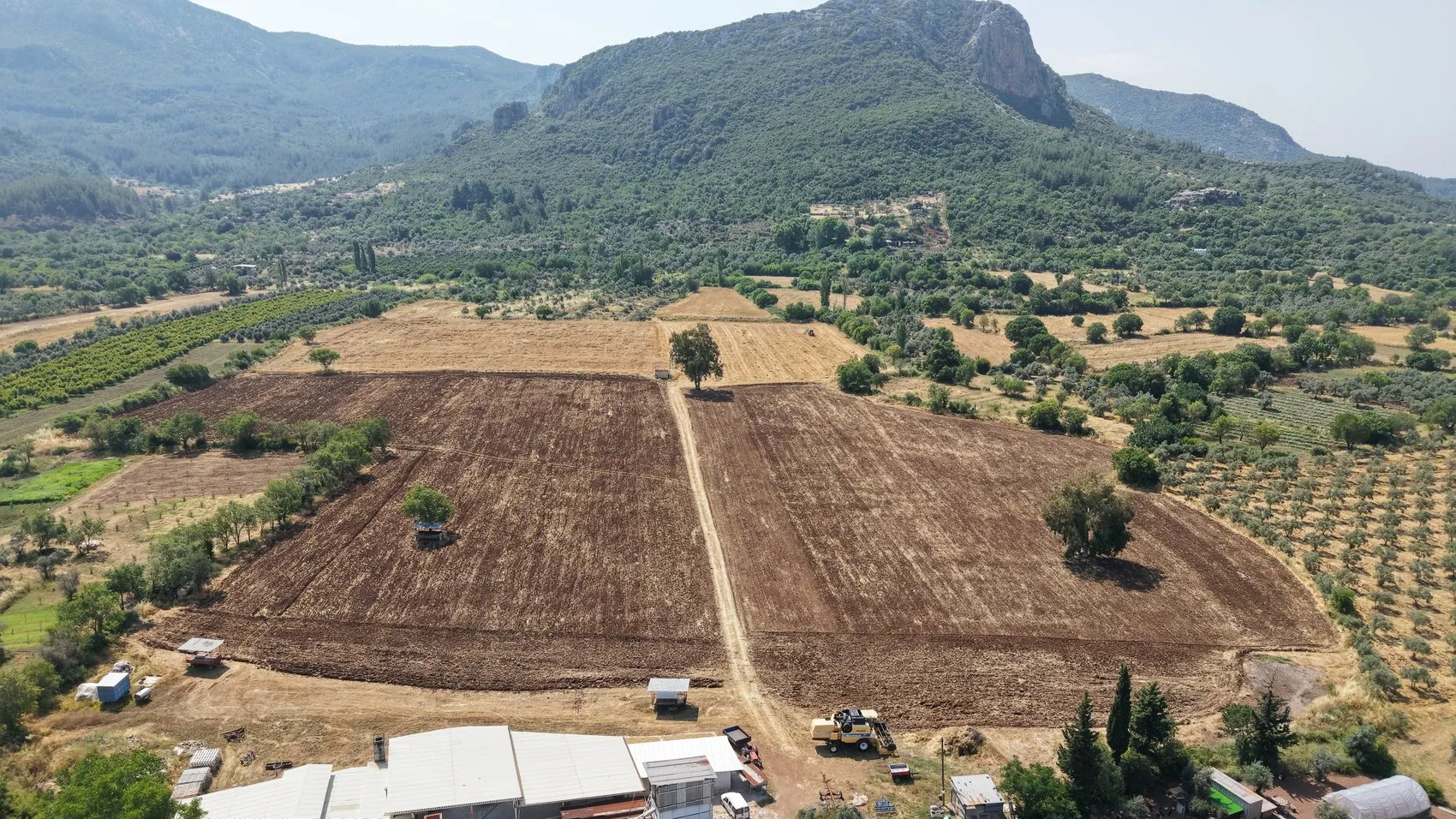 Antalya’nın renkli tarlalarında halıların güneşlenme mesaisi başlıyor