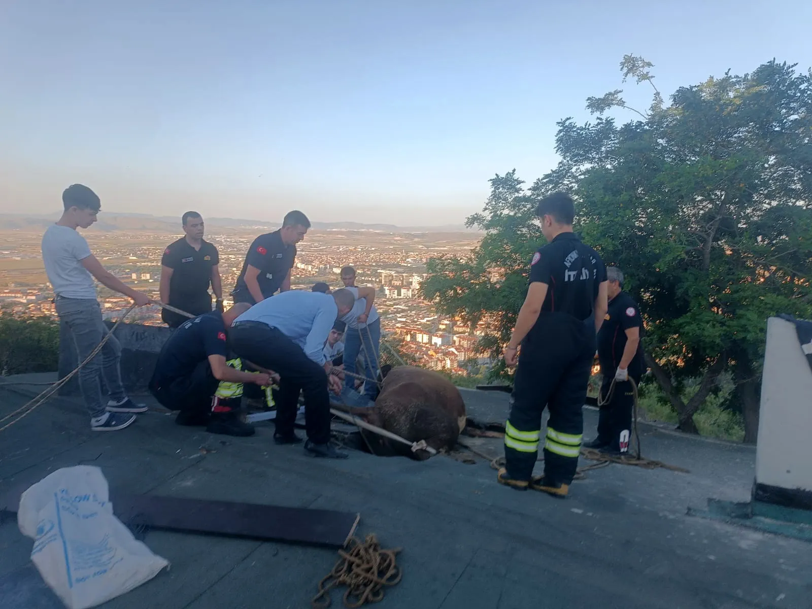 Afyonkarahisar’da çatıda mahsur kalan inek itfaiye yardımıyla kurtarıldı