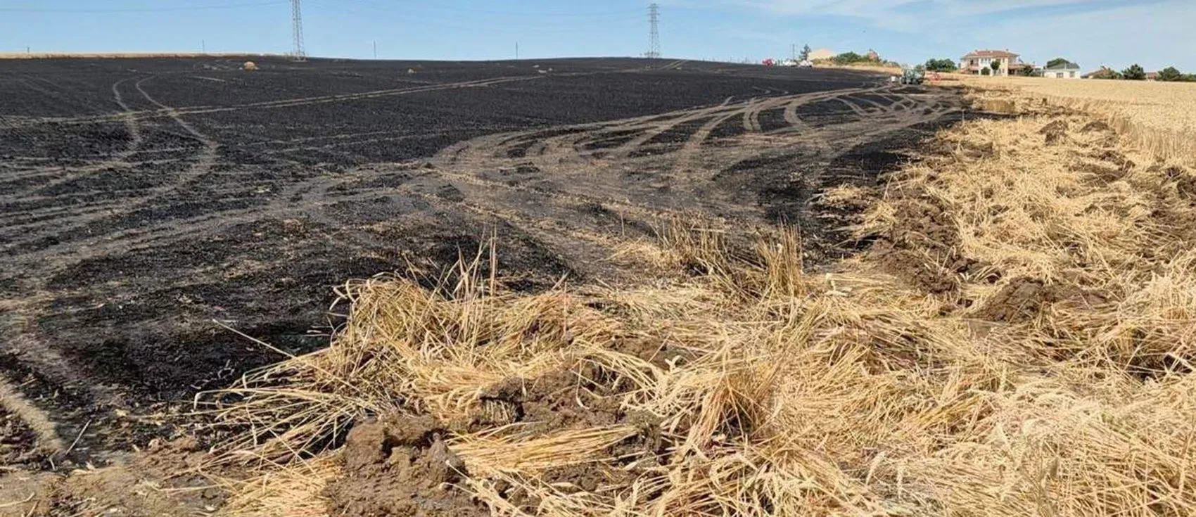 Tekirdağ'da hasat öncesi büyük yangın