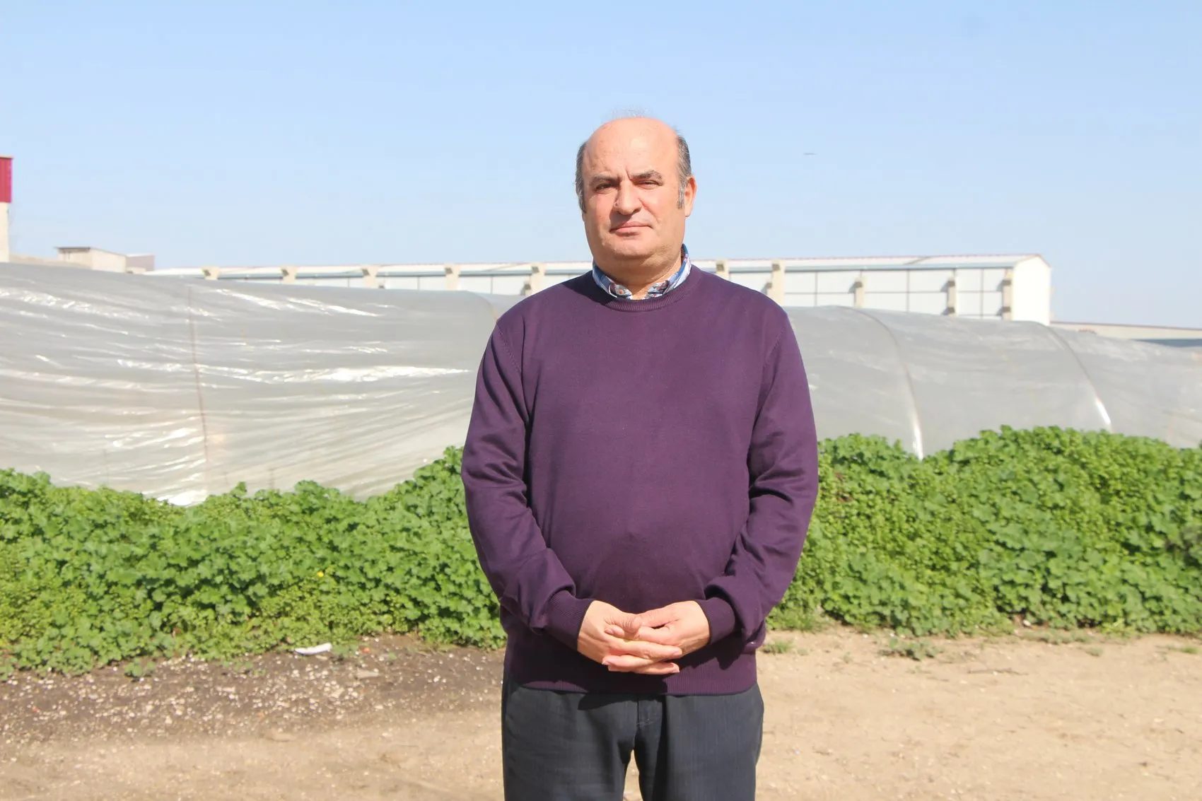 Çukurova’da patates bereketi fiyatı aşağı çekti