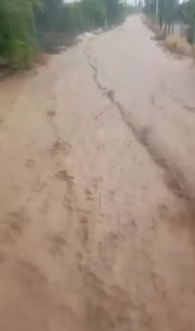 Niğde’de dolu yağışı tarlaları beyaza boyadı