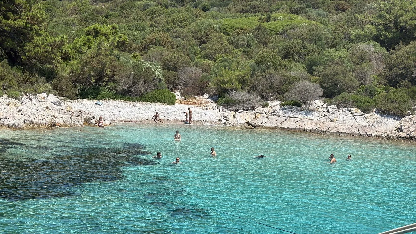 Bodrum koylarında tekne turizmi hareketlendi