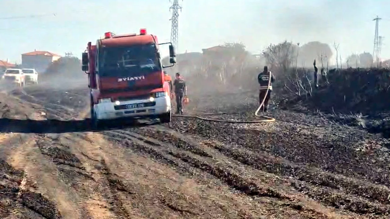 Tekirdağ'da buğday tarlaları alevlere teslim oldu