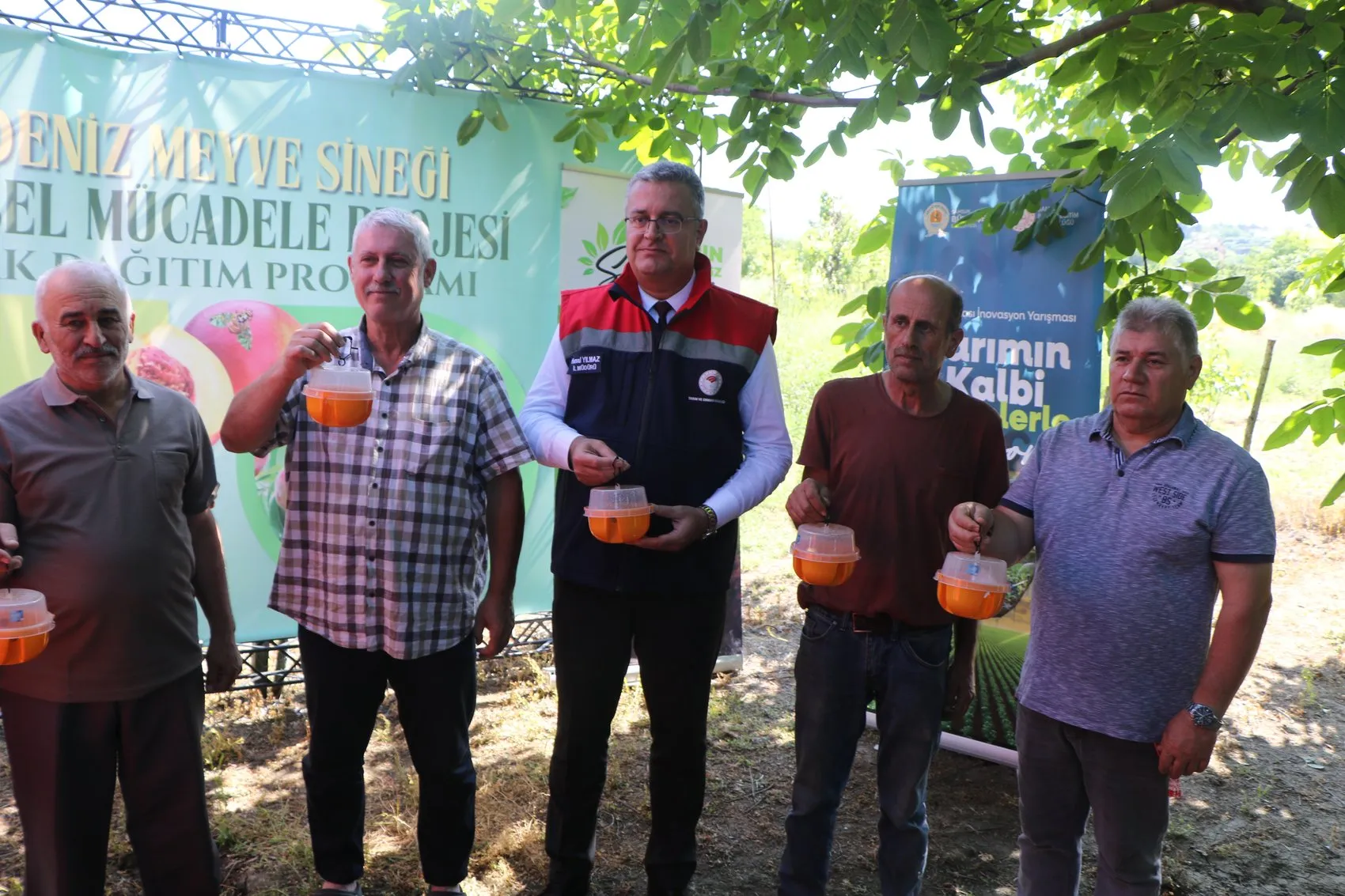 Samsunlu şeftali üreticisi için Akdeniz meyve sineği nöbeti başladı