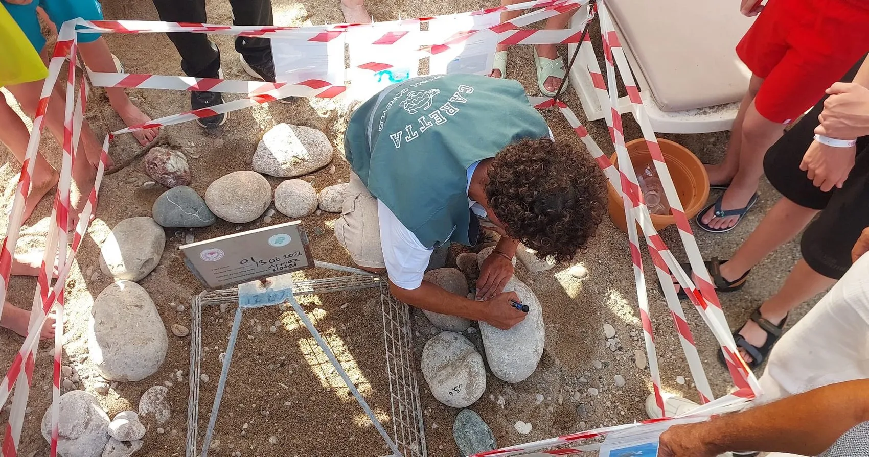 Antalya sahillerinde caretta carettalar için seferberlik başladı