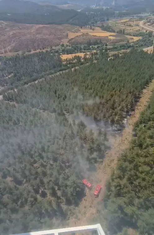 Bursa Yörükler’de orman yangını paniği