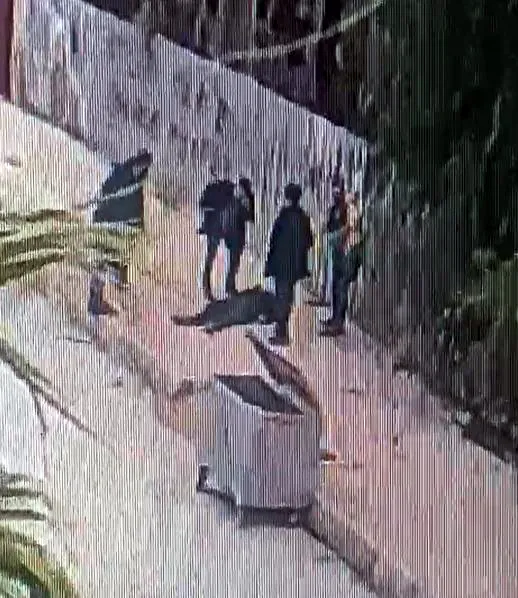 Hatay'da bıçaklı kavgada taşla öldüren sanığa serbestlik kararı