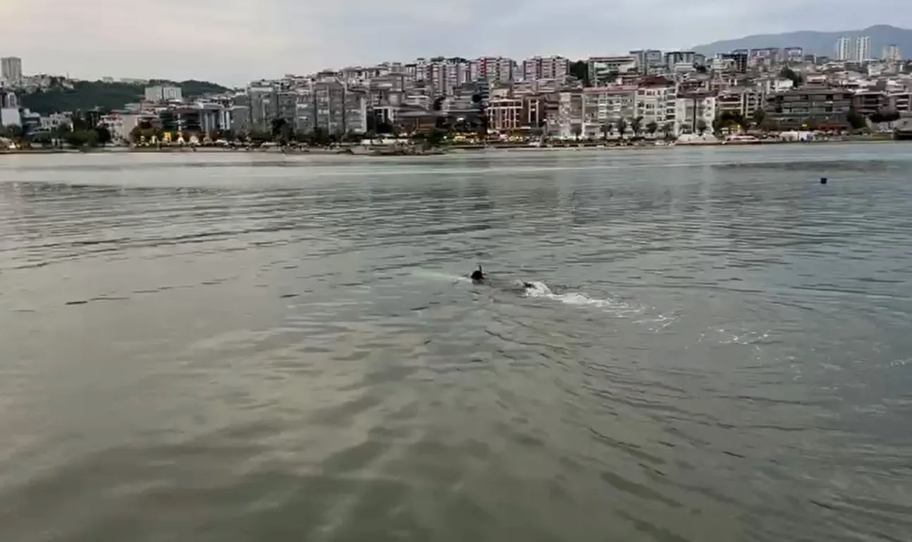 Samsun sahilinde bırakılan kıyafetler ekipleri alarma geçirdi