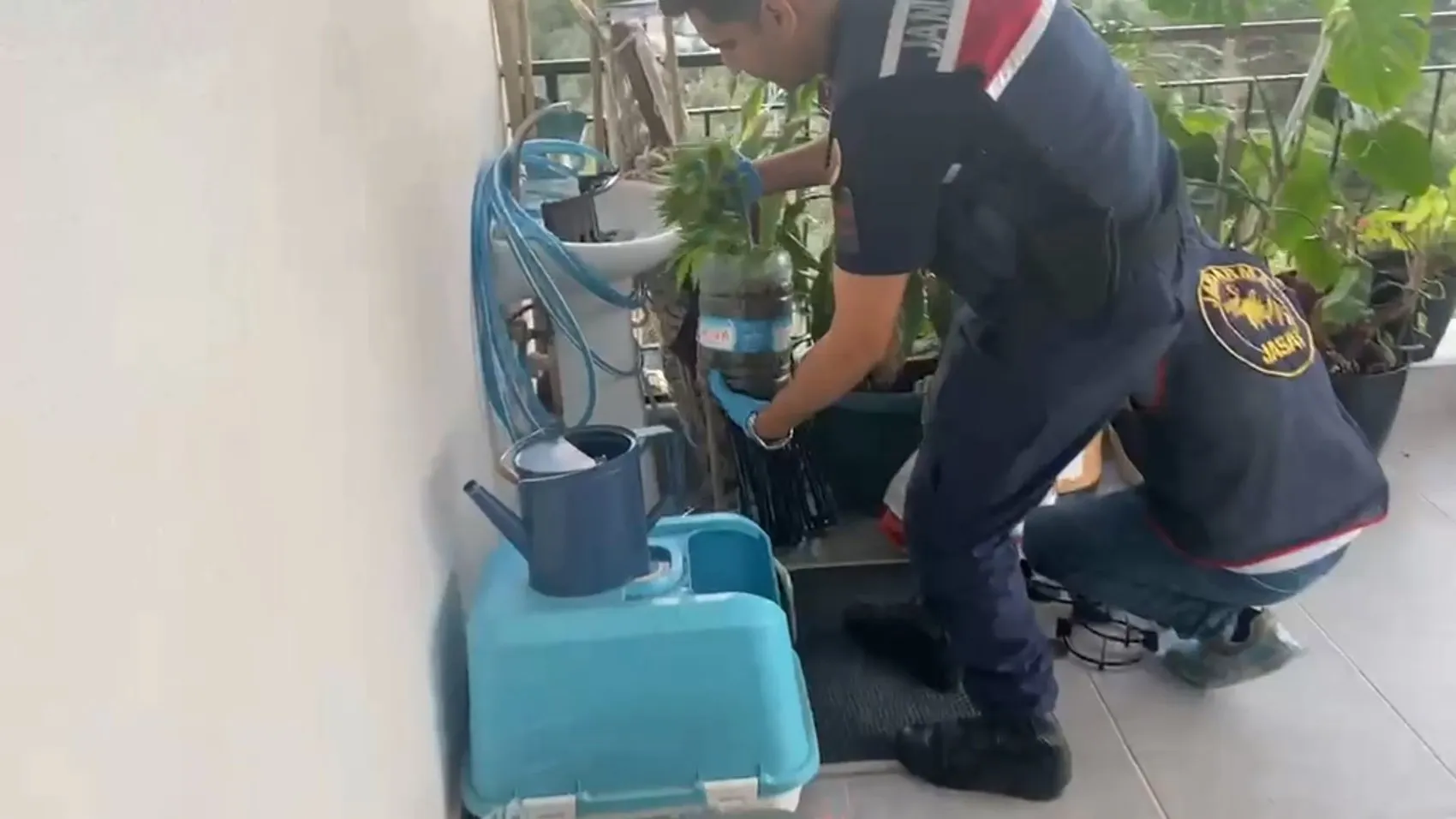 Jandarma beş şehirde düğmeye bastı 341 kişi gözaltına alındı