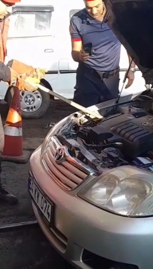 Hendek'te otomobilin kaputuna giren davetsiz misafir