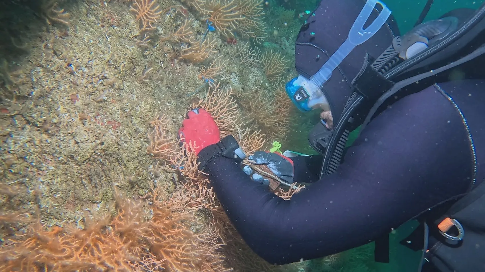Marmara Denizi’ndeki sessiz katiller temizleniyor