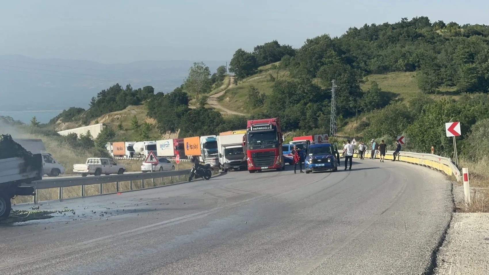 İznik yolunda erik yüklü kamyonet küle döndü