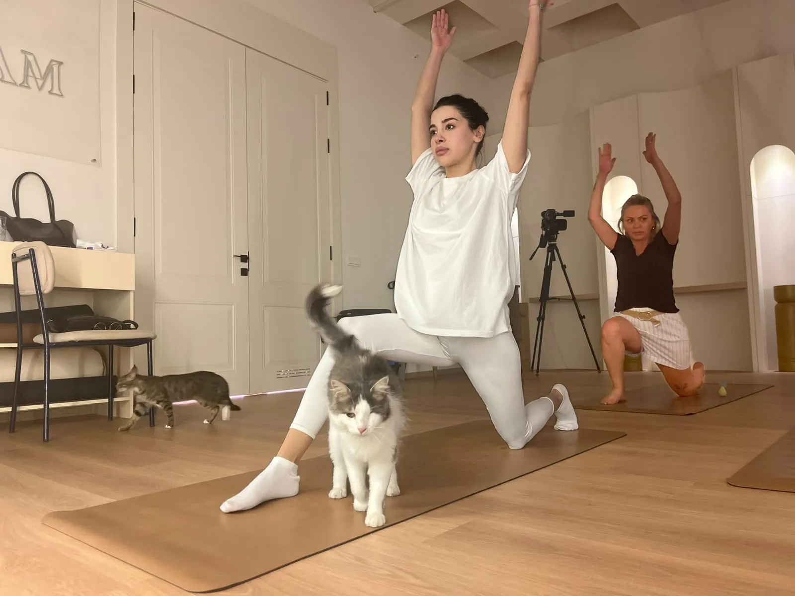 Ankaralı kadınlar stres atmak için kedilerle yoga matına çıktı
