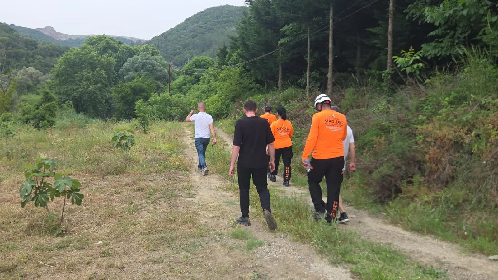 Bursa'da dut toplamaya çıkan yaşlı adamdan acı haber geldi