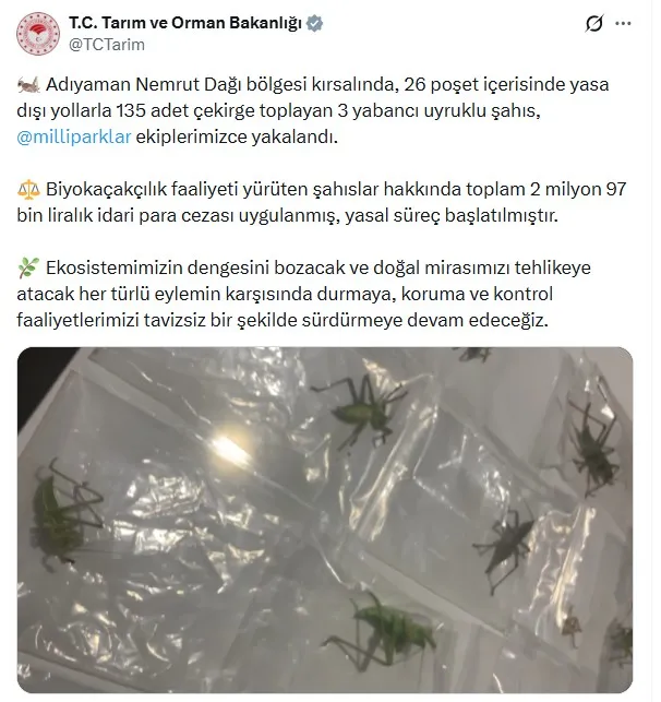 Adıyaman’da çekirge kaçıran yabancı uyruklu 3 kişiye dev ceza