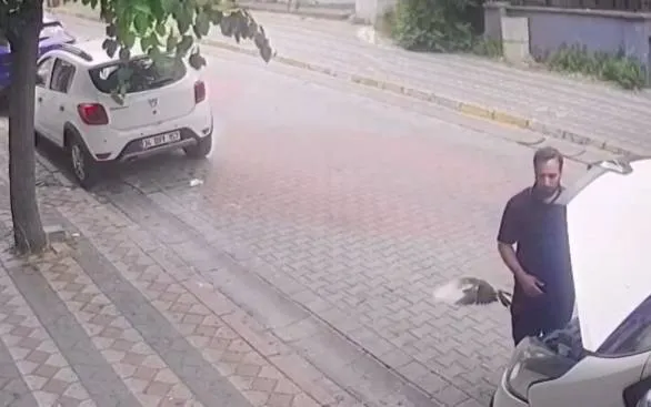 Sultangazi'de sürücülerin direksiyon ve kaput sürprizi