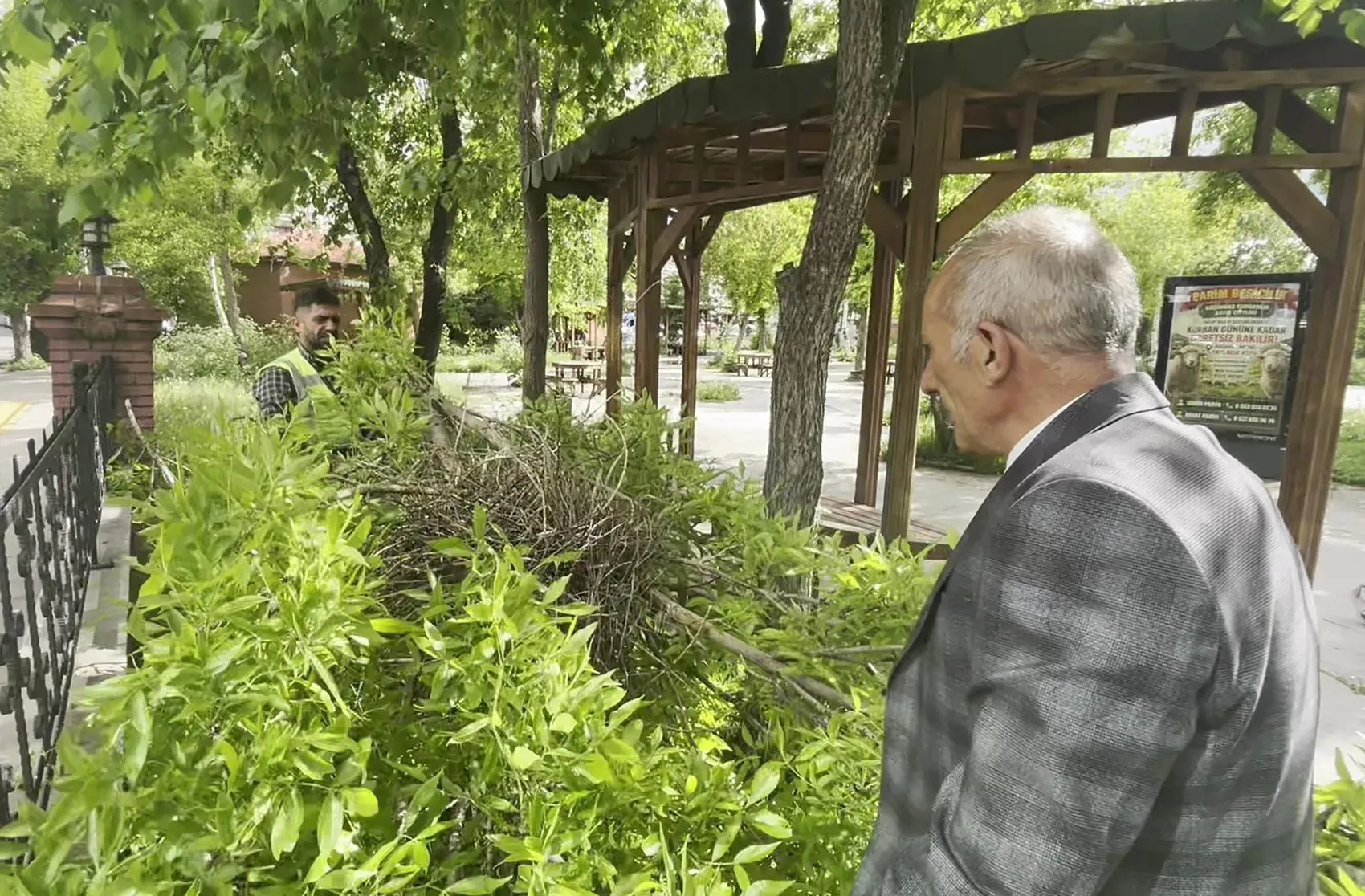 Ardahan’da belediye ekiplerinden kargalara ince düşünülmüş taşınma operasyonu