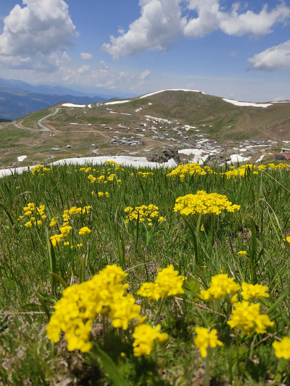 Artvin yaylalarında haziran ayı kar sürprizi