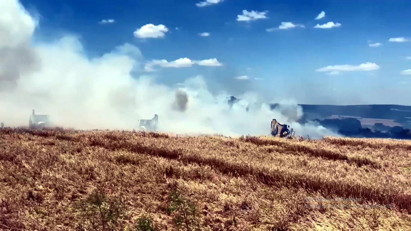 Tekirdağ'da buğday tarlaları kül oldu