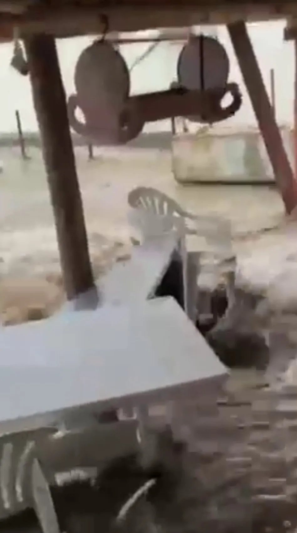 Bolu Gerede’de sağanak kabusu köyü sular altında bıraktı