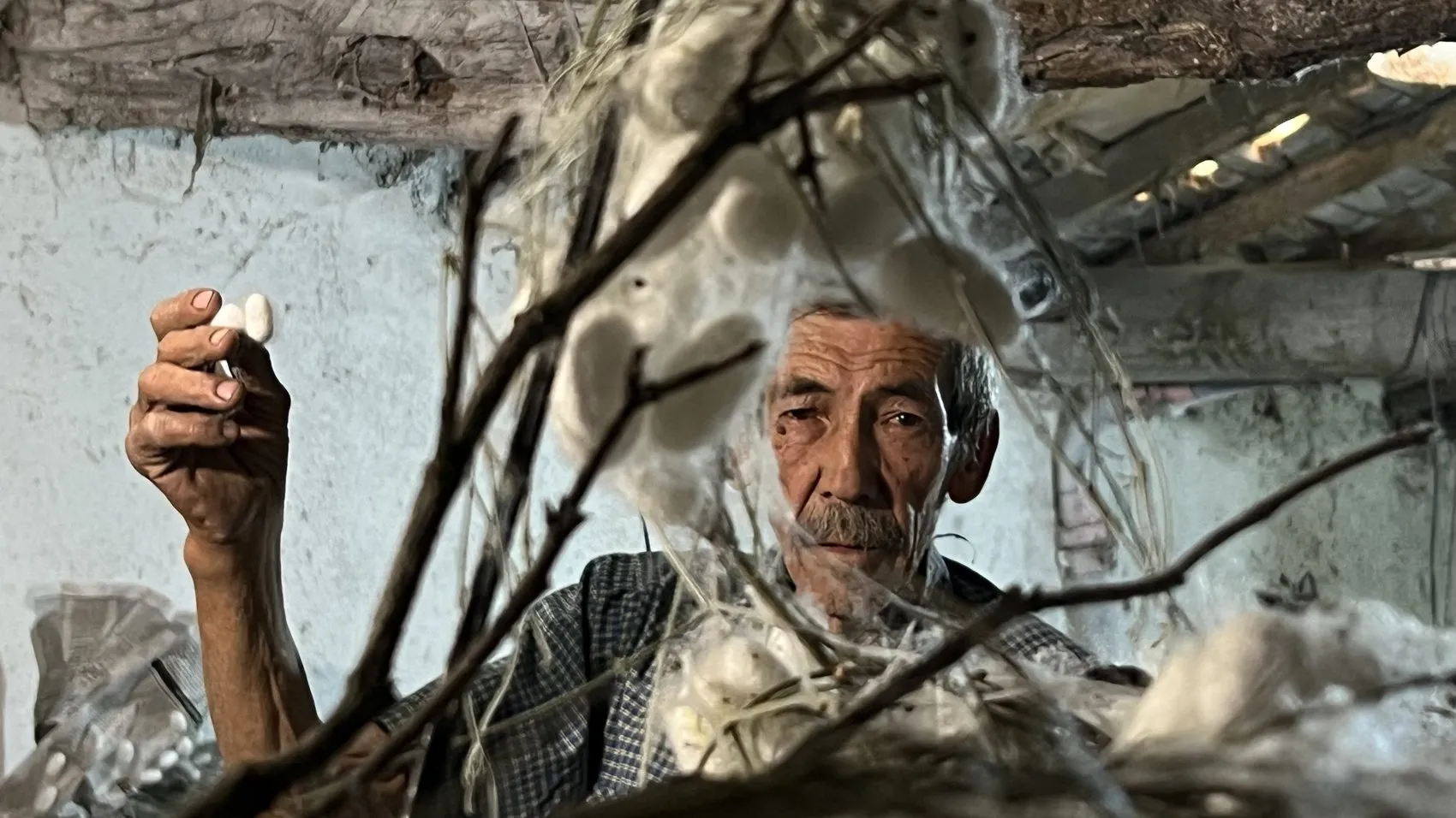 Nallıhan'da bir asırlık gelenekle gelen kazanç