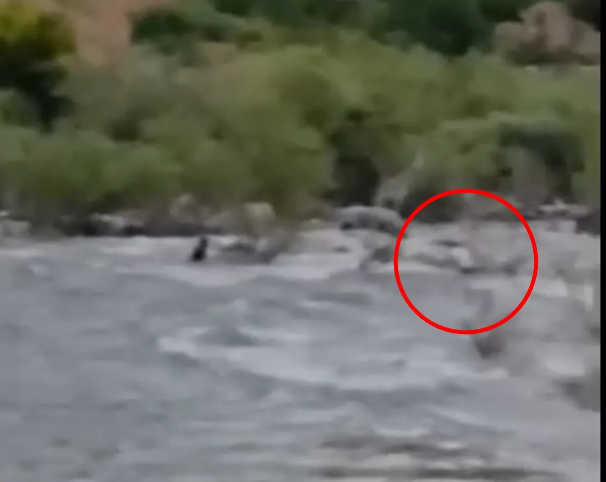 Bingöl’de çayda kaybolan kişiyi arama çalışmaları sürüyor