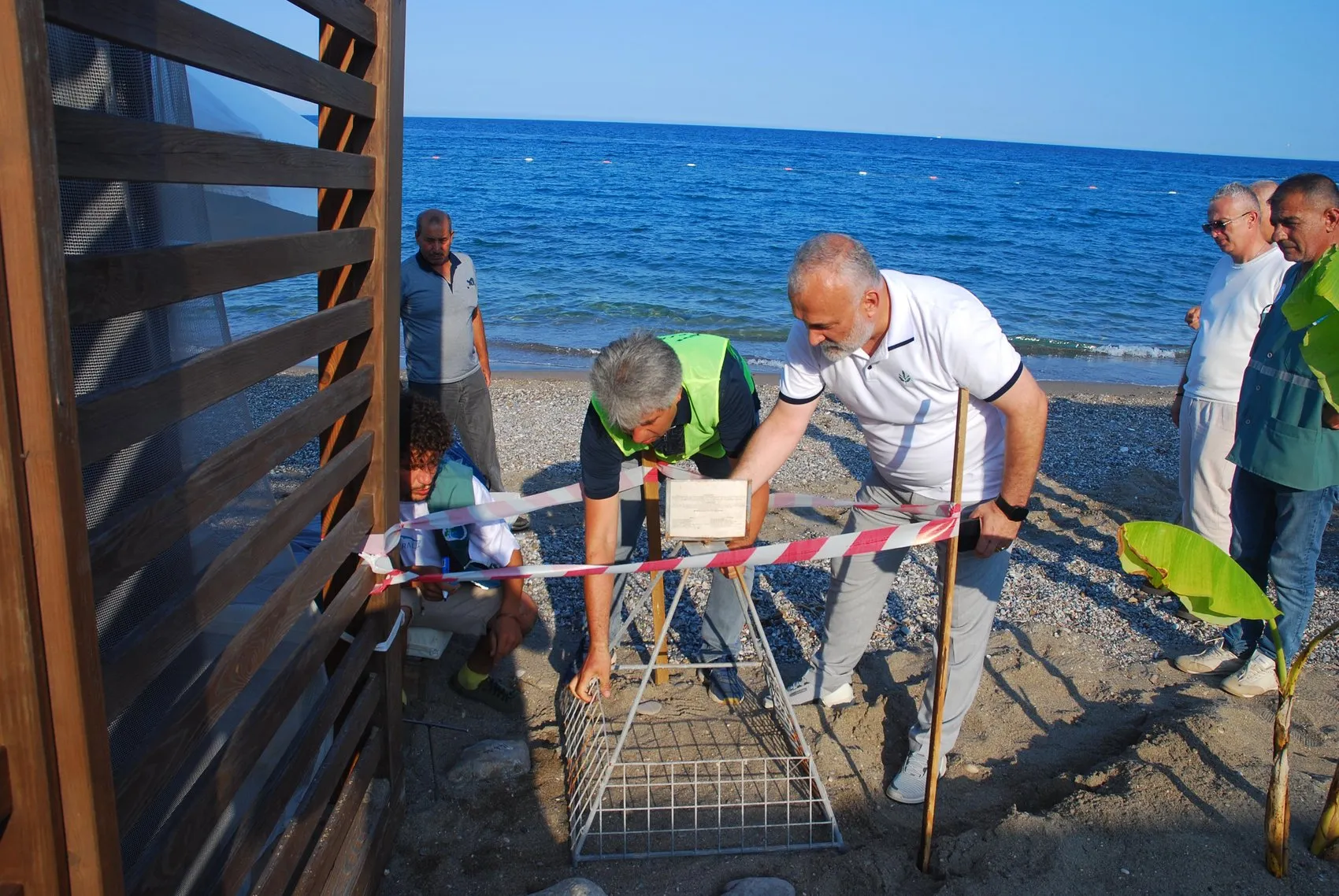 Antalya sahillerinde caretta carettalar için seferberlik başladı