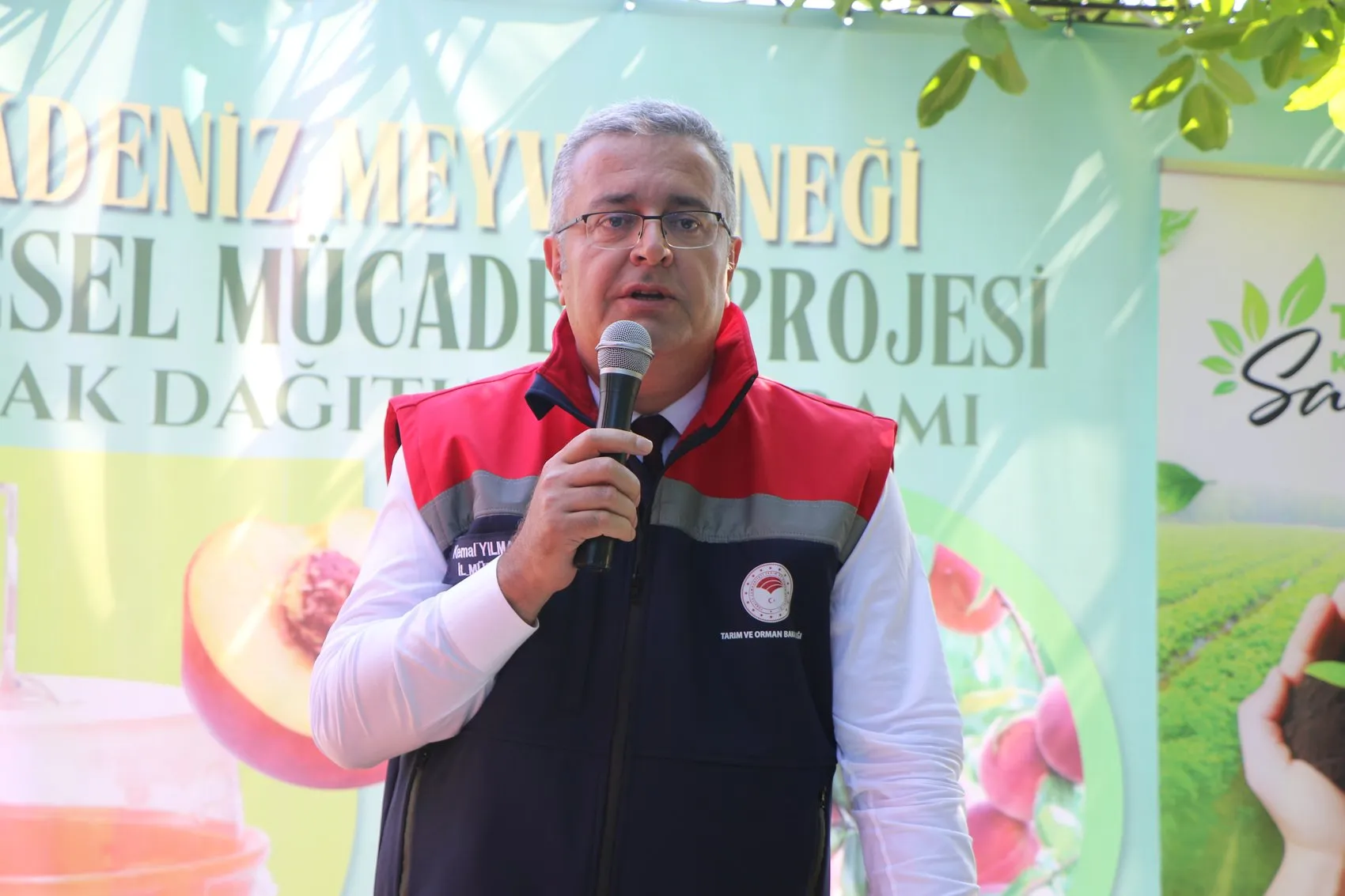 Samsunlu şeftali üreticisi için Akdeniz meyve sineği nöbeti başladı