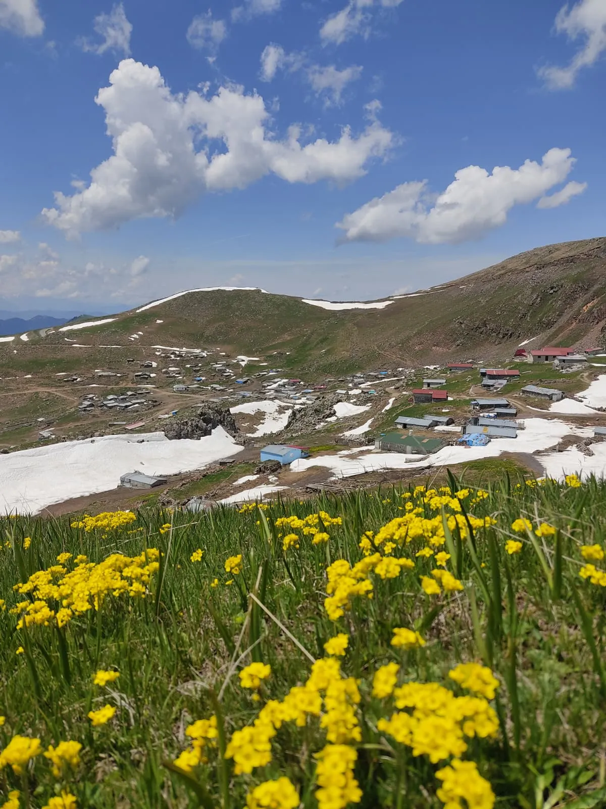 Artvin yaylalarında haziran ayı kar sürprizi