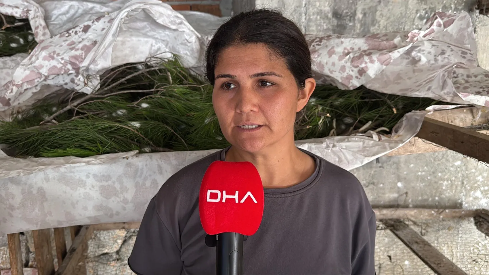 Köyceğizli kadınlar evlerinde ipek üretip ekonomiye can veriyor