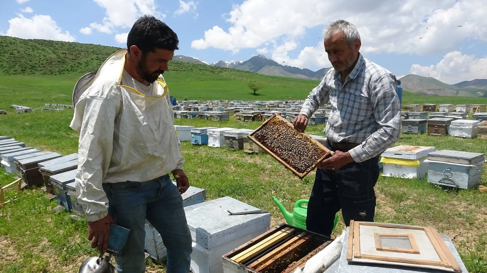 Bodrumdan Hakkari yaylalarına uzanan bal hasadı
