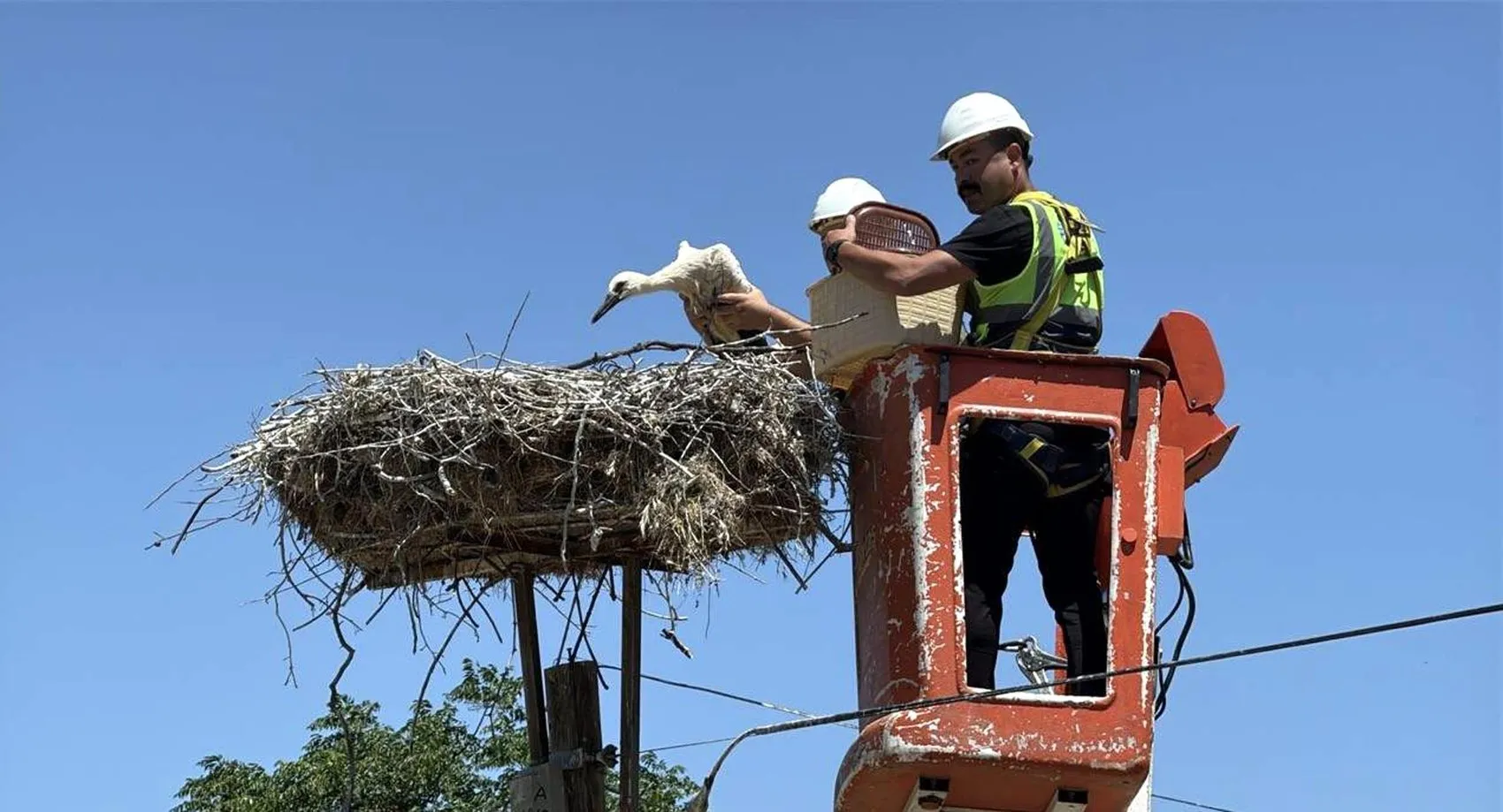 Tekirdağ'ın Leylek Köyü'nde şenlik zamanı