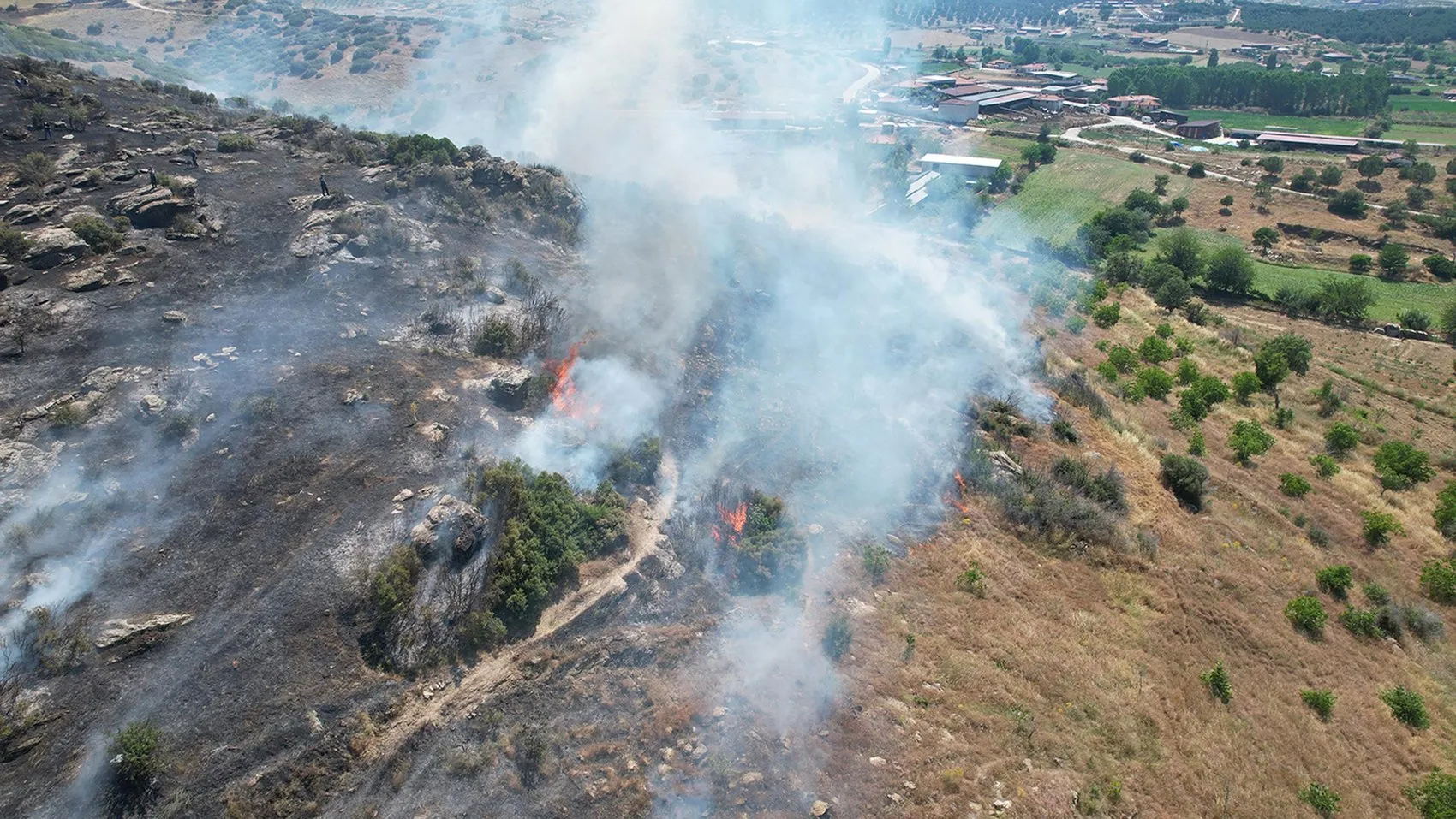 Manisa Kula'da makilik alanda yangın paniği