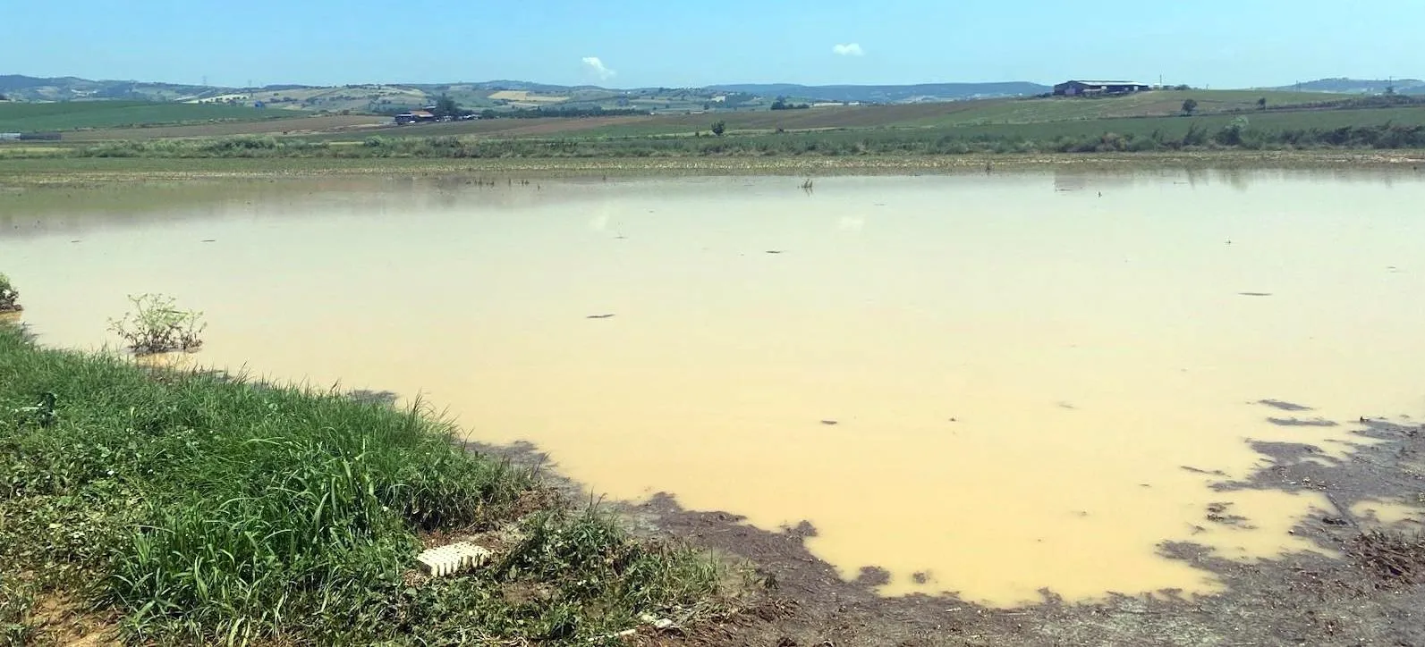 Bursa Yenişehir'de dolu ve sağanak tarımı vurdu