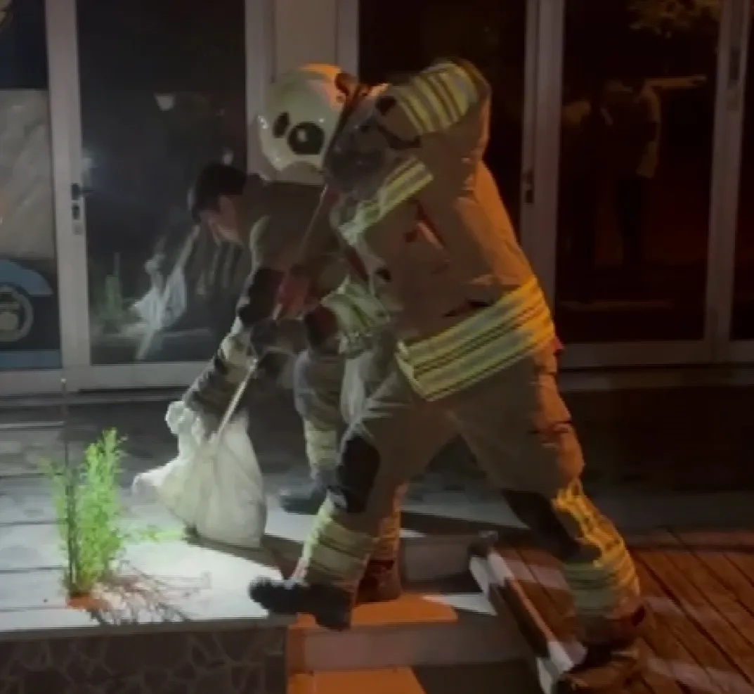 İskenderun’da bahçeye giren davetsiz misafir korkuttu