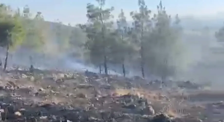 Nurdağı ormanlarında korkutan yangın kontrol altına alındı