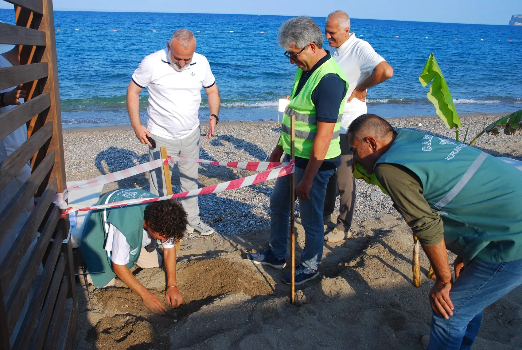 Antalya sahillerinde caretta carettalar için seferberlik başladı
