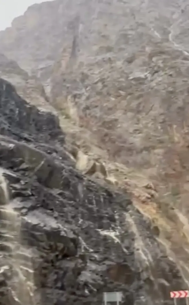 Artvin ve Erzurum arasındaki ulaşımı heyelan kesti