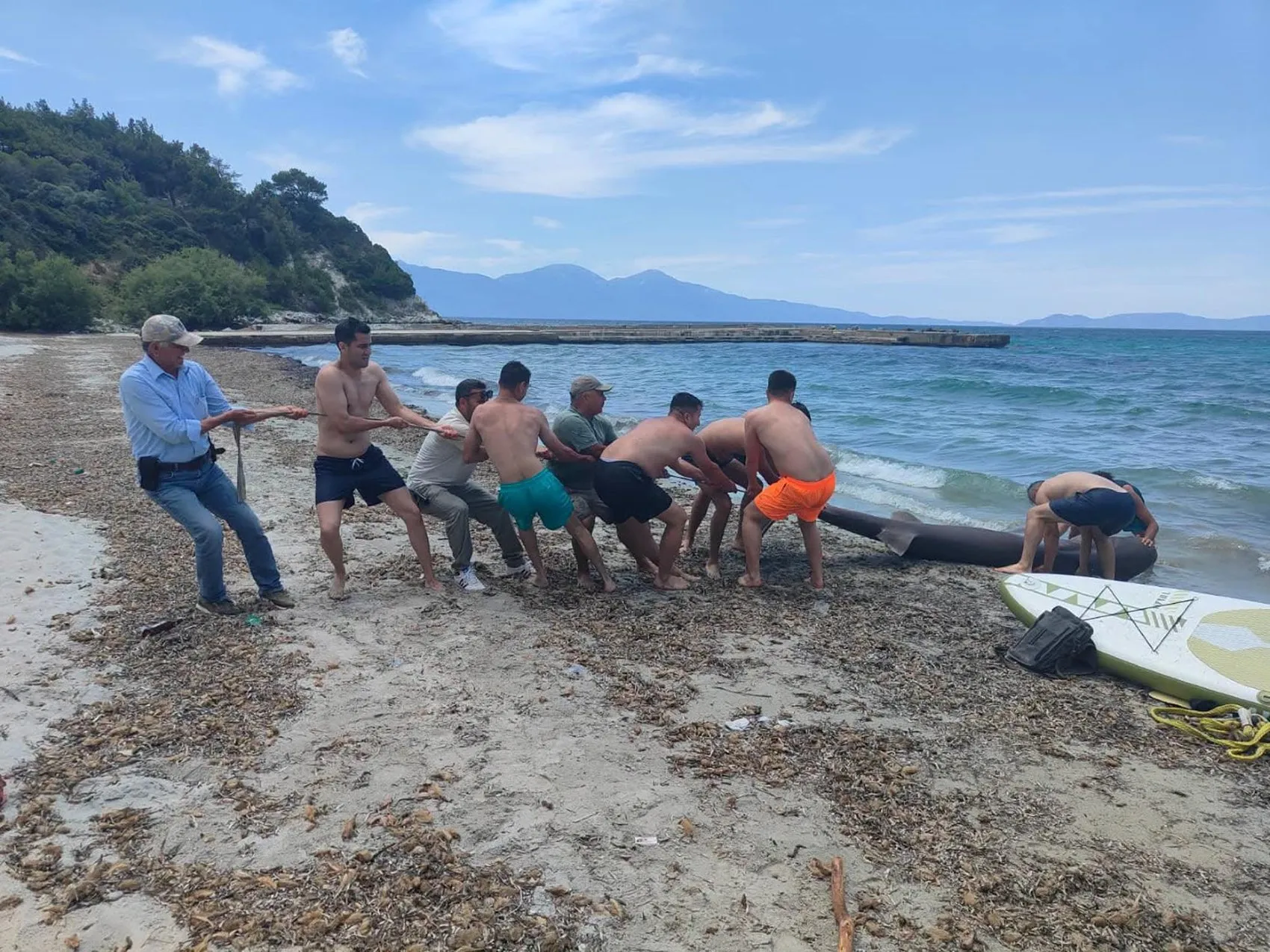 Kuşadası sahilinde dev köpek balığı şaşkınlığı