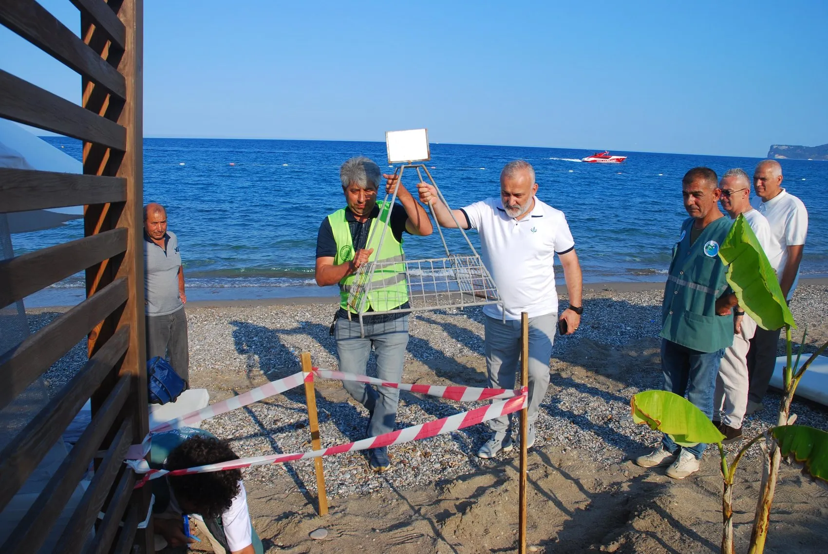 Antalya sahillerinde caretta carettalar için seferberlik başladı