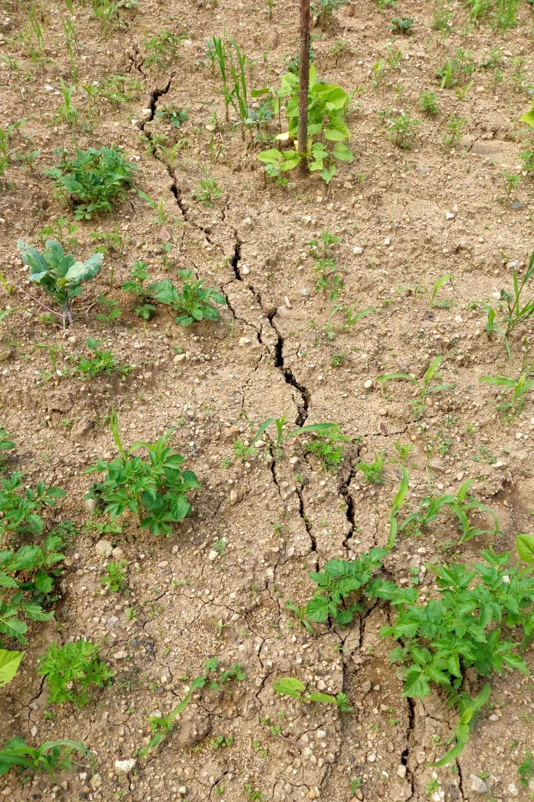 Giresun’da toprak kayması korkusu 33 haneyi yerinden etti