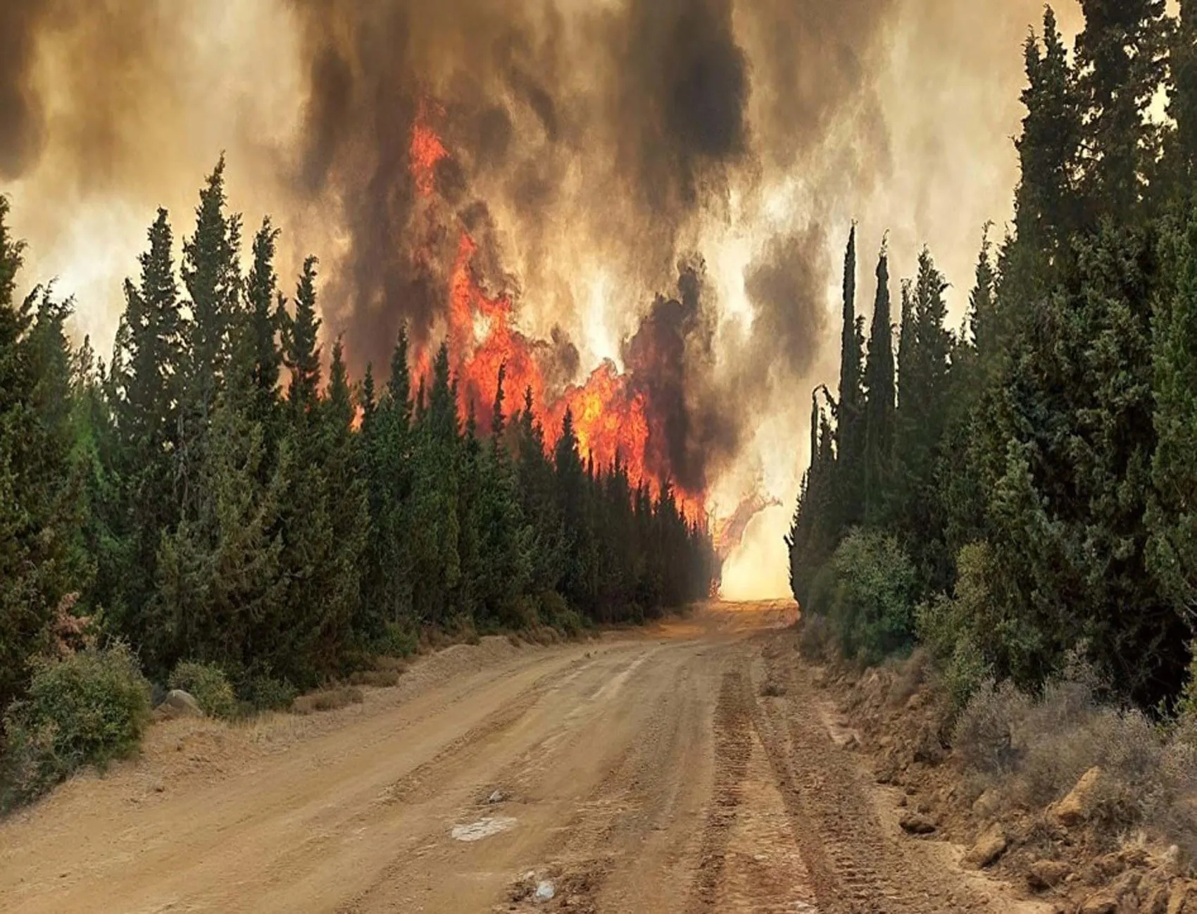 Çanakkale’de orman dışı yangınların maliyeti yarım milyar lirayı aştı