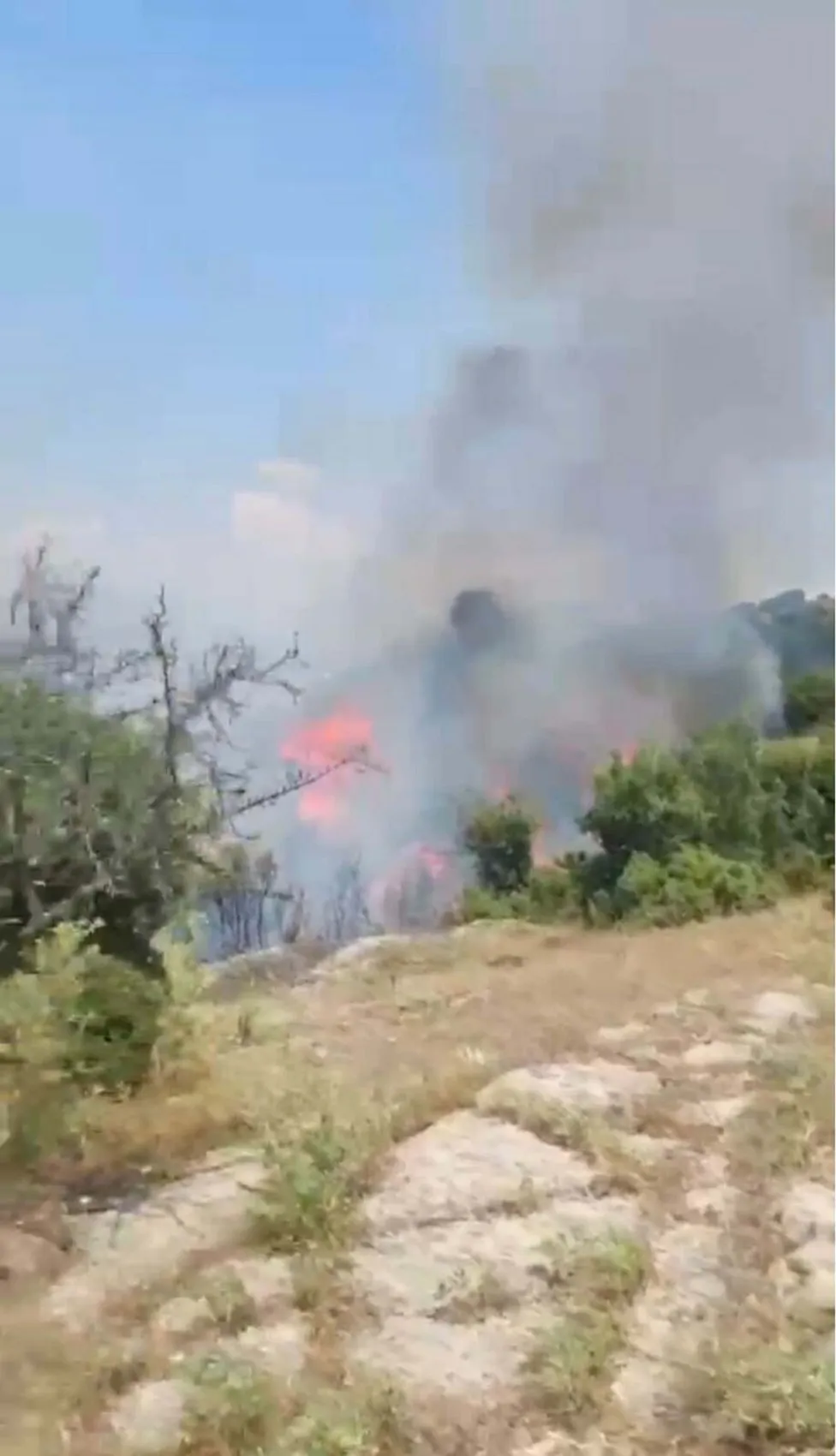 Aydın Yenipazar'da makilik alanda çıkan yangın kontrol altına alındı